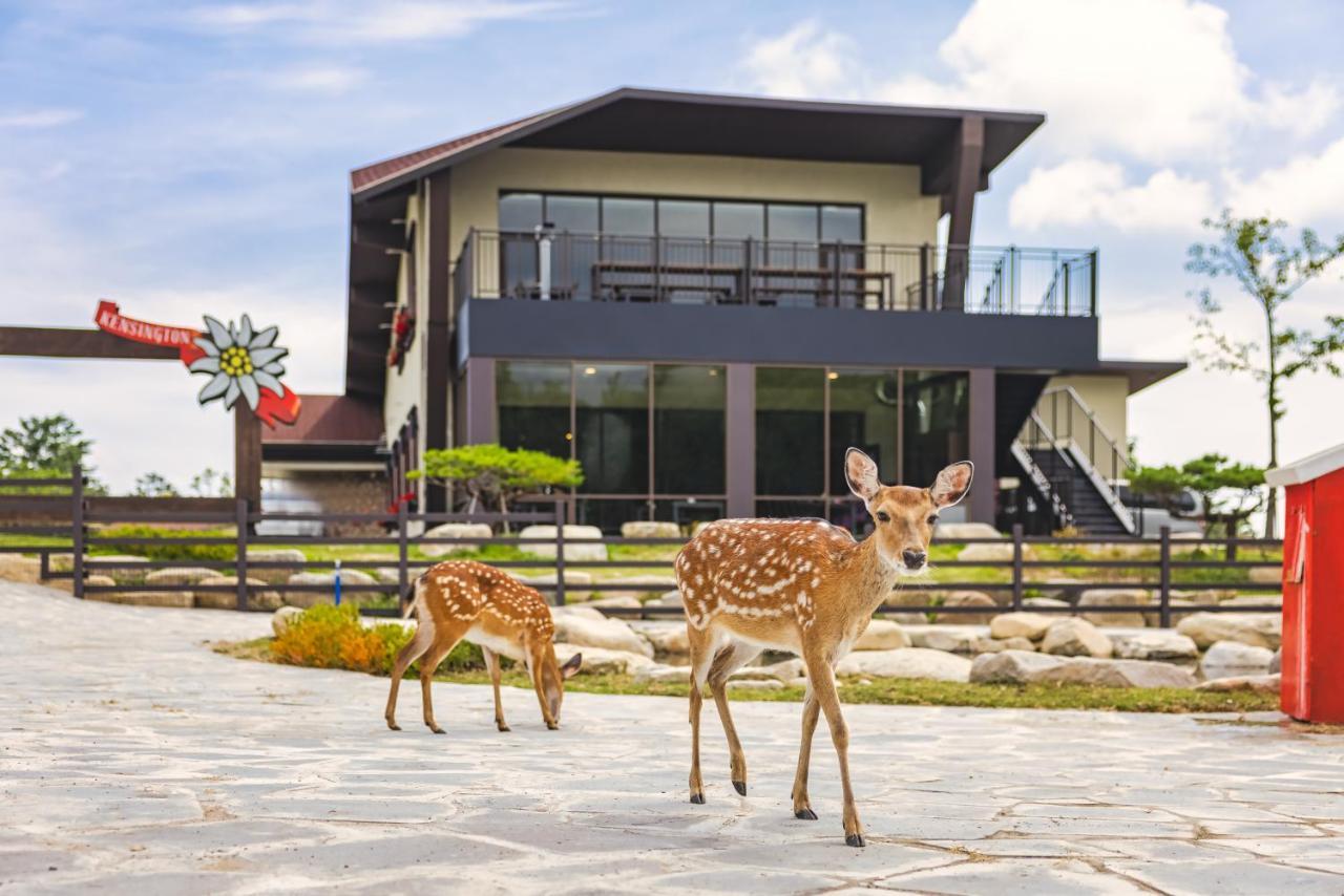 Kensington Resort Seorak Valley ثوتْسو المظهر الخارجي الصورة